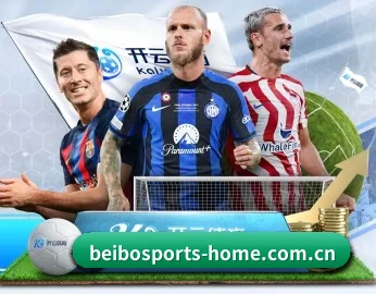 贝博体育官网 APP | BeiboSports