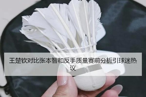 王楚钦对比张本智和反手质量赛前分析引球迷热议 - BeiboSports